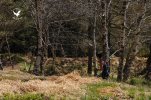 Foto_8