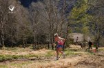 Foto_35