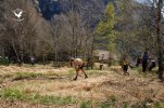 Foto_45