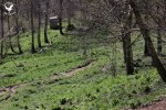 Foto_40