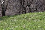 Foto_30