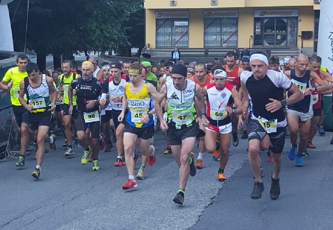 KM-VERTICALE-magnodeno-oriz